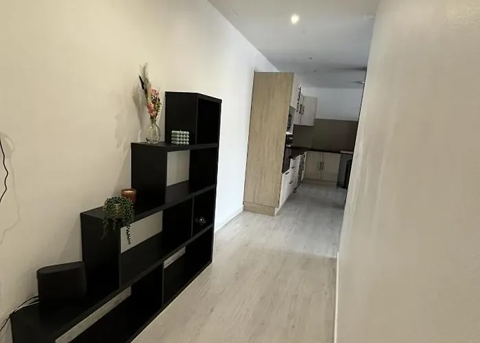 Grand Appartement Roanne Centre