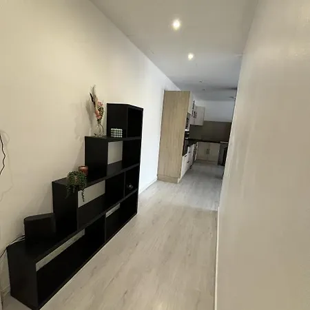 Grand Appartement Roanne Centre Exterior foto