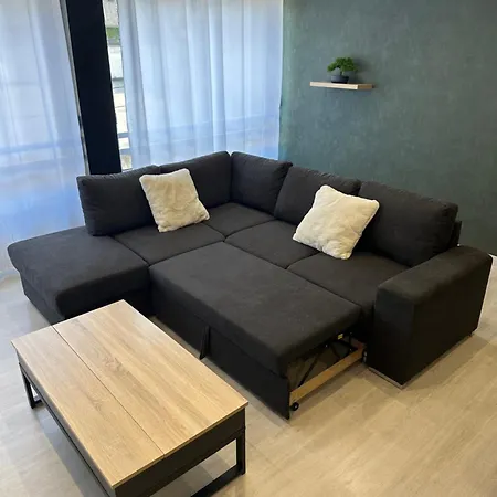 Grand Appartement Roanne Centre Exterior foto