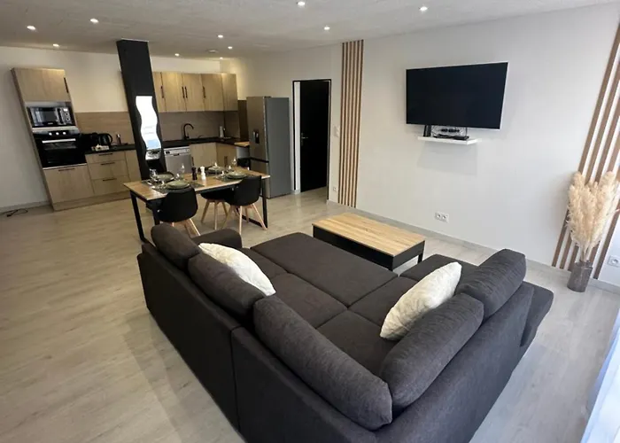 Grand Appartement Roanne Centre