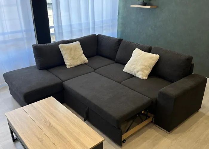 Grand Appartement Roanne Centre